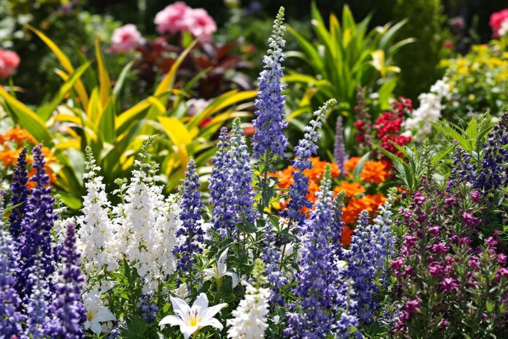 Comment se débarrasser des rats dans le jardin : méthodes et solutions efficaces