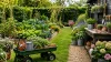 shockgarden.com​ site : Avis blog, Guide jardin et Jardinage