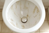 Comment enlever le calcaire dans les toilettes​ ? Astuces