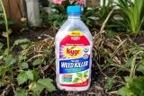 Désherbant naturel qui tue les racines : Astuces efficaces