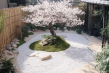 Comment faire un jardin japonais : Guide & Conseils Zen