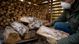 Mérule Bois de Chauffage, Comment identifier & traiter ?