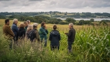 soutienfaucheursbretagne.fr​ : Faucheurs Volontaires anti-OGM