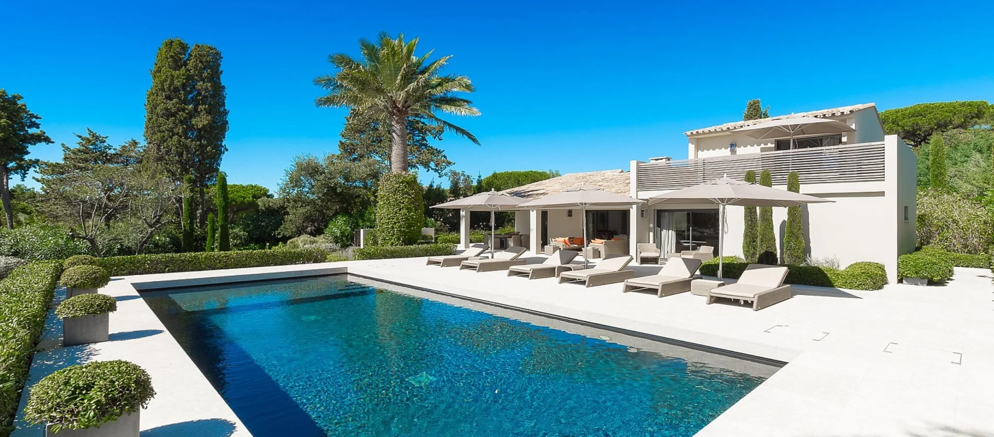 Piscine extérieure bordée d’un palmier et d’un jardin méditerranéen