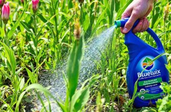 AdBlue comme désherbant : efficacité, dangers et alternatives écologiques