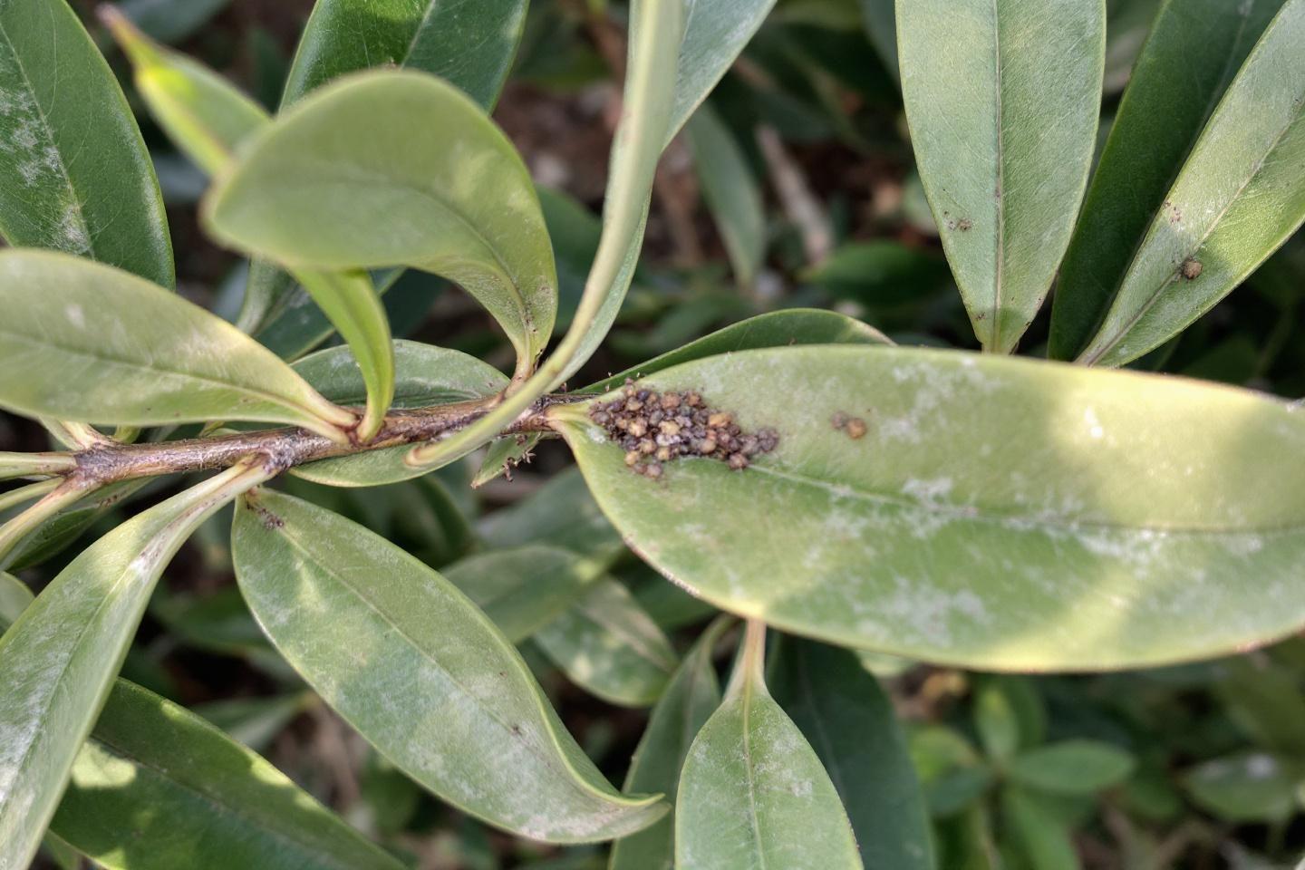 Comment bien choisir son matelas pour améliorer son sommeil ?