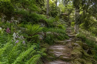 Jardin Botanique Saverne org​ : Horaires et Tarifs
